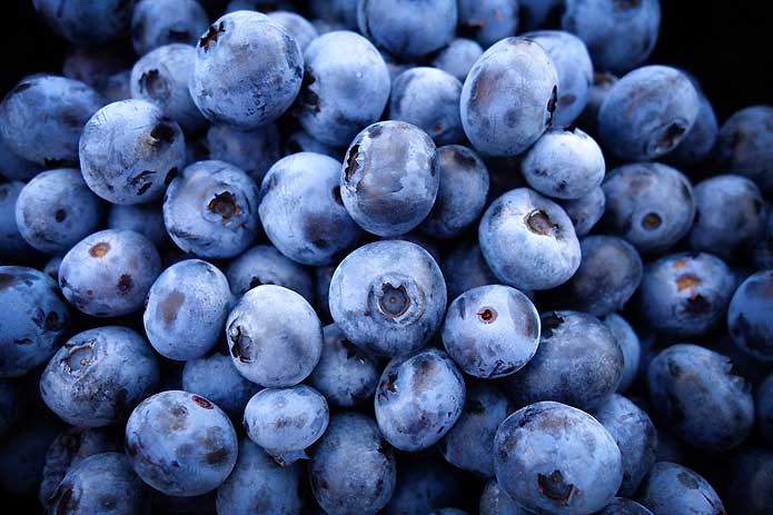 Blueberry Recipes