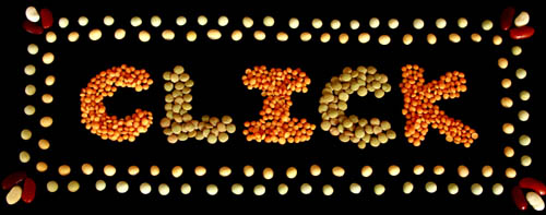 Colorful Dried Beans