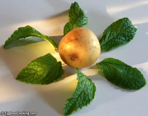 potato mint 