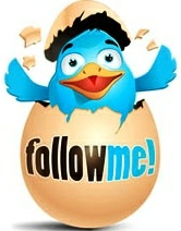 Receive Recipe Updates on Twitter