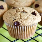 Vegan Chocolate Chip Muffins Vegan Chocolate Chip Muffins