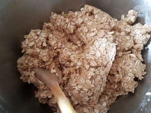 Cookie Dough With Oats Mixed In Cookie Dough With Oats Mixed In