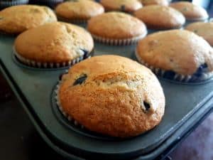 Blueberry Muffins Ready Blueberry Muffins Ready