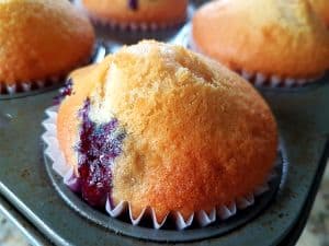 Fluffy Vegan Blueberry Muffins Are Ready Fluffy Vegan Blueberry Muffins Are Ready