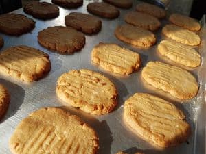Coconut Washboard Cookies Are Fresh From The Oven Coconut Washboard Cookies Are Fresh From The Oven