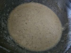 The Wet Mixture Foams The Wet Mixture Foams