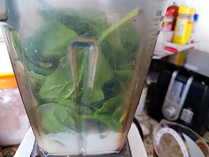 Blend spinach and milk Blend spinach and milk