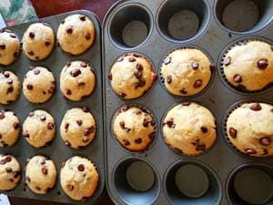 Greek Yogurt Chocolate Chip Muffins Ready Greek Yogurt Chocolate Chip Muffins Ready