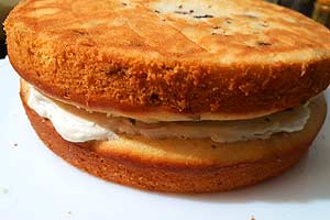 7. Top it with the other-layer.