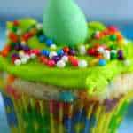 Best Funfetti Cupcake Recipe