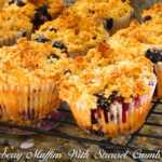 Blueberry Muffins with Crumble Toppings