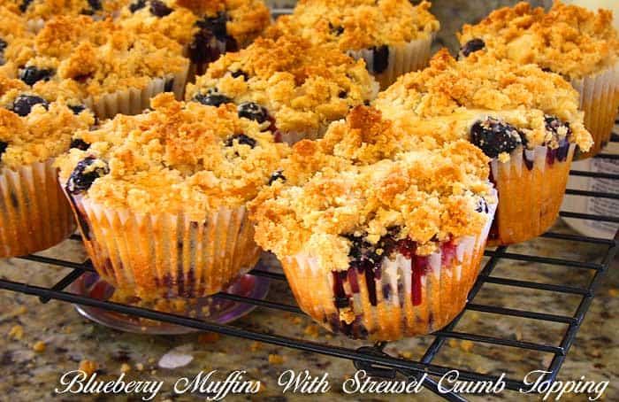 Blueberry Muffins with Crumble Toppings