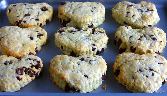 Chocolate Scones (Freshly Baked)