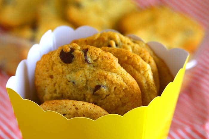 Egg Free Chocolate Chip Yogurt Cookies Egg Free Chocolate Chip Yogurt Cookies