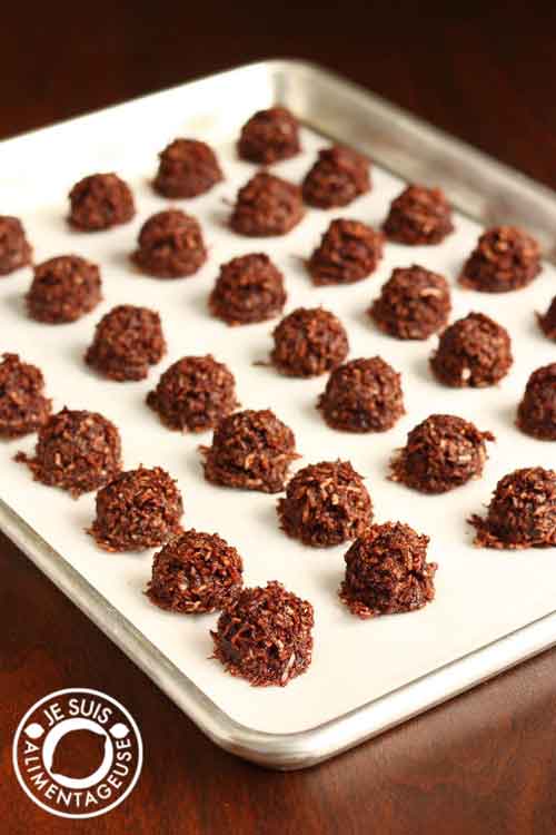 Vegan Chocolate Coconut Macaroons