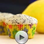 vegan lemon poppy seed muffins