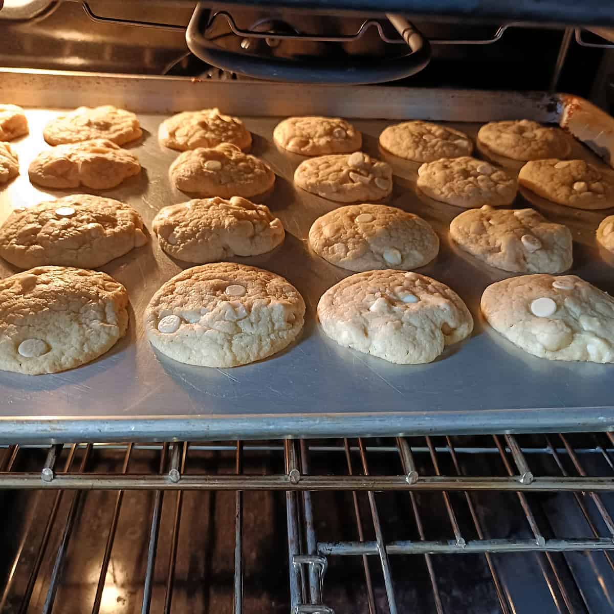 The cookies bake to a light golden color, puffed and perfectly set with soft centers.