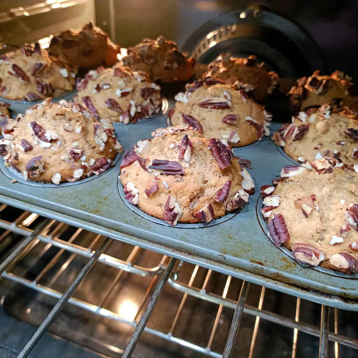 Golden vegan banana pecan muffins baked in a muffin pan with toasted pecans on top