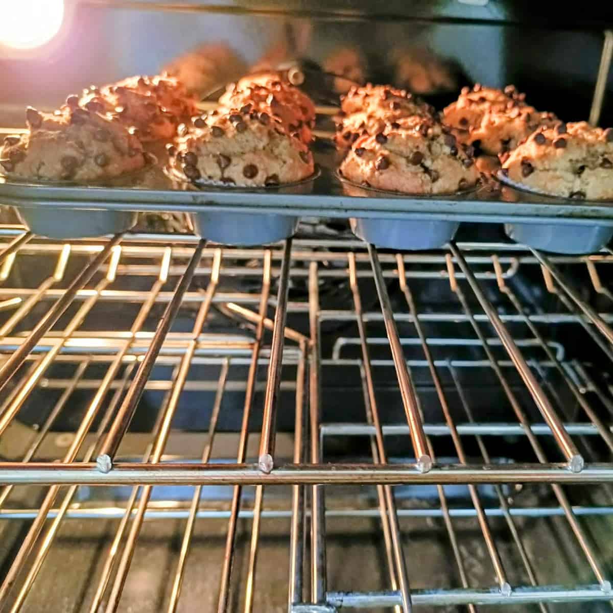 Eggless banana chocolate chip muffins baking until golden and risen in oven