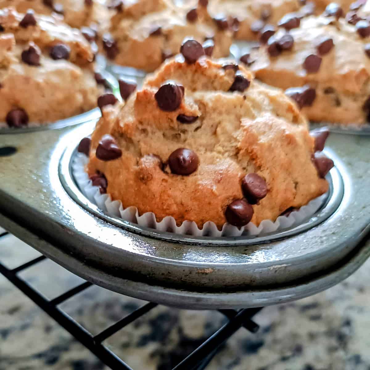 Freshly baked eggless banana chocolate chip muffins cooling in a muffin pan with melted chocolate chips on top